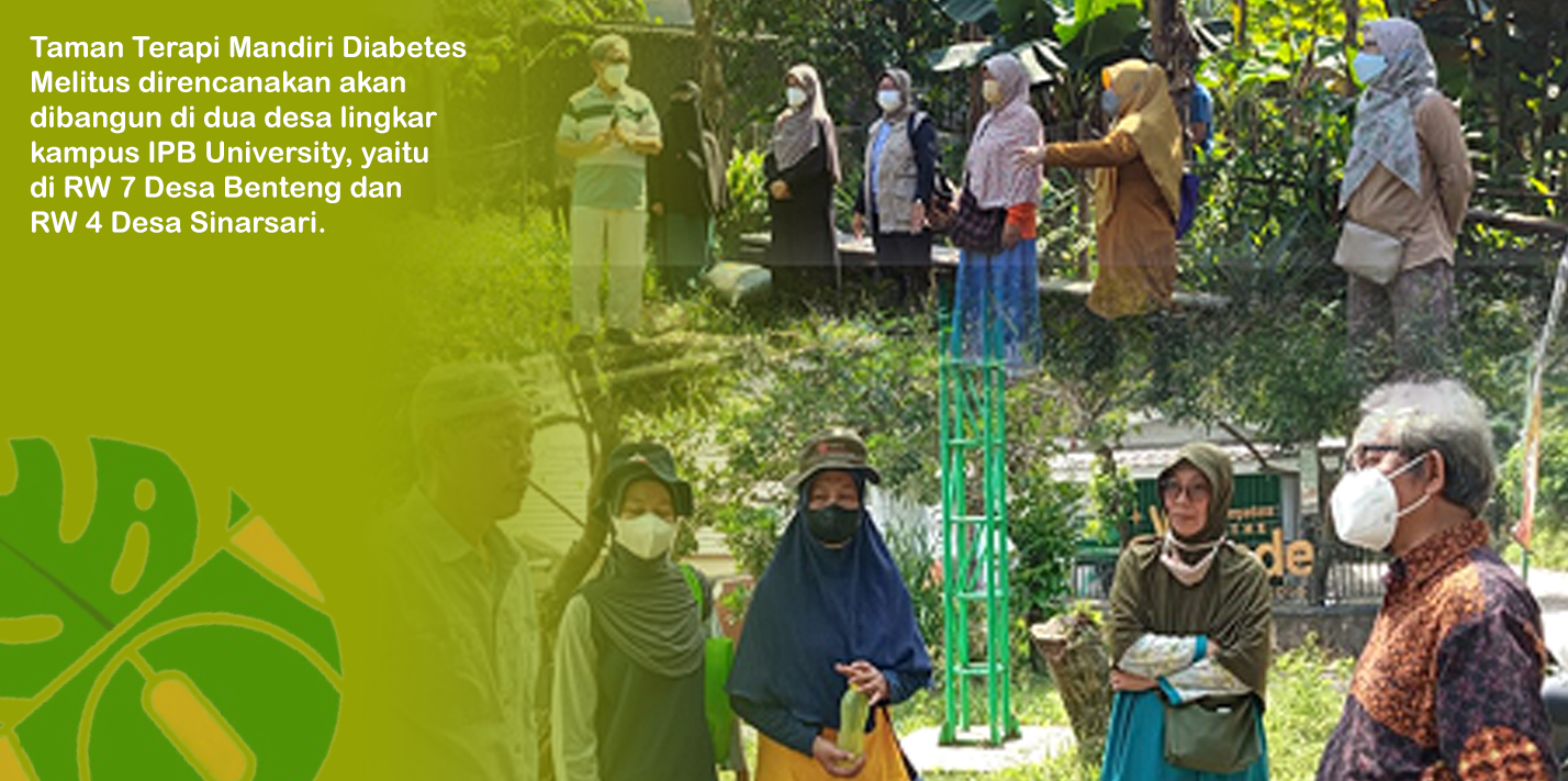 Dosen IPB Gagas Ide Pencegahan dan Penanganan Penyakit Diabetes Melitus dengan Taman Terapi